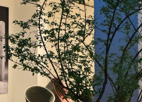 Facteurs d’influence : coût d’une rénovation de riad