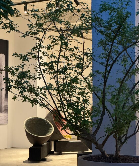 Facteurs d’influence : coût d’une rénovation de riad